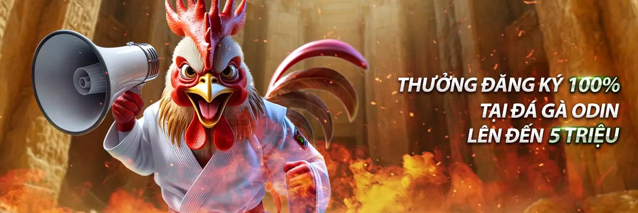 Giao diện ứng dụng ev88 trên điện thoại